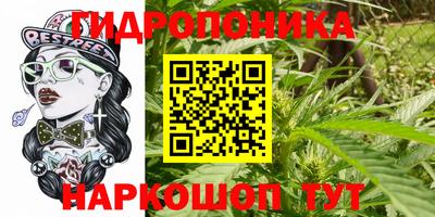 спиды Ливны